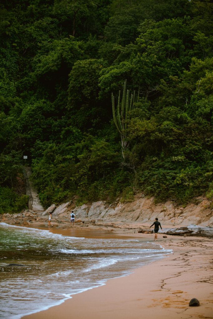 Three visitors walking along a secluded sandy cove beach backed by dense tropical jungle with tall cactus and rocky cliffs at Huatulco, Oaxaca, Mexico