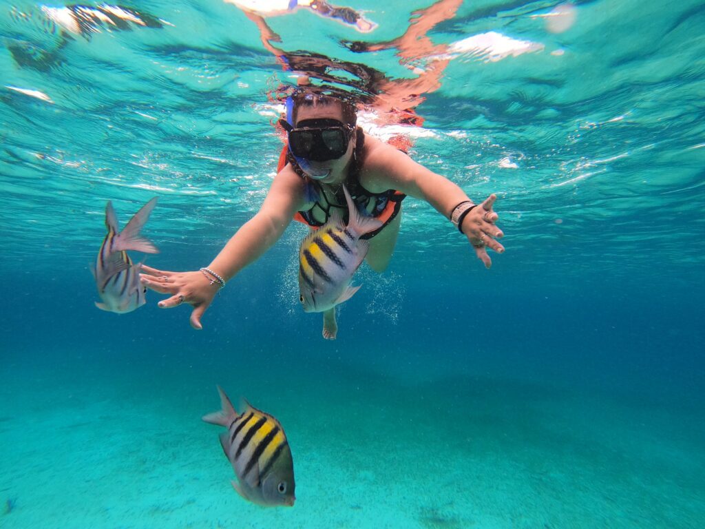 Woman snorkeling underwater surrounded by colorful sergeant major tropical fish in the crystal clear turquoise Caribbean waters of Cozumel, Mexico