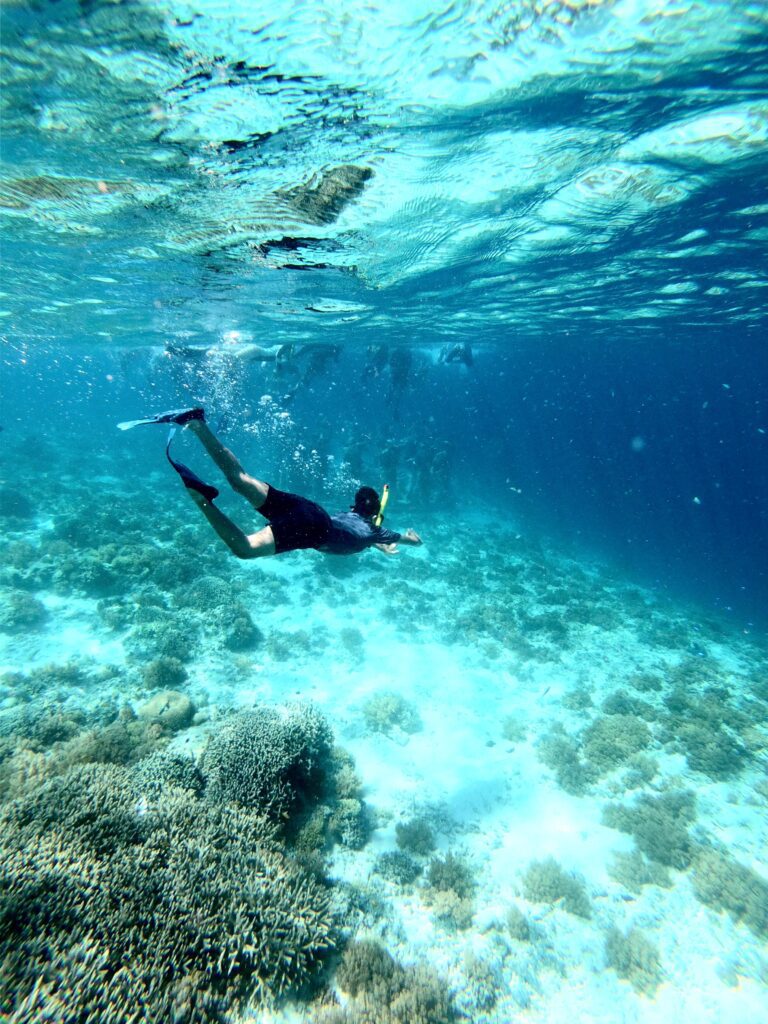 Great Barrier Reef snorkeling — swimmer over coral reef in clear blue water