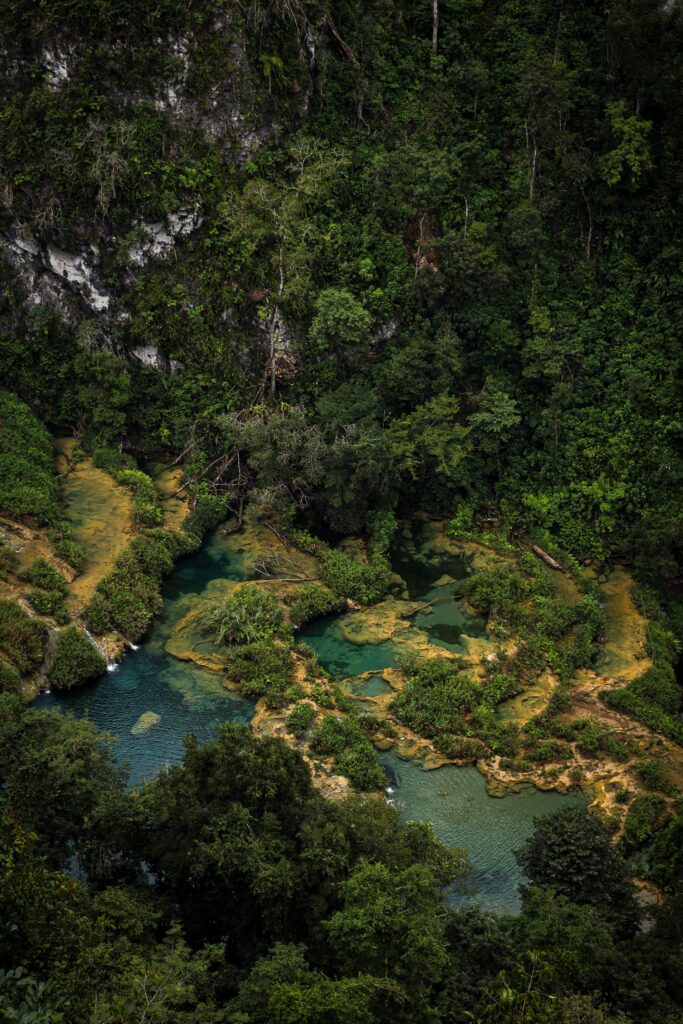 Aerial view of the rainforest covering Tikal National Park in Guatemala