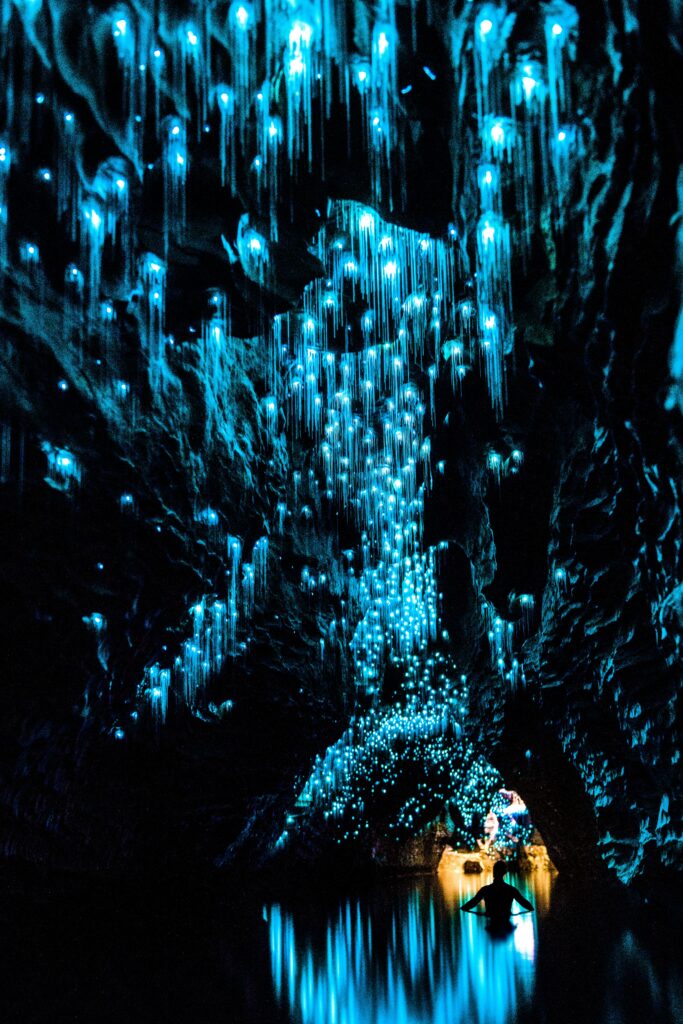 Glowworms lighting up a cave ceiling above a boat in New Zealand