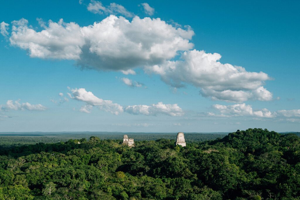 View from Temple IV over the jungle canopy at Tikal, Guatemala, with temple roofs visible above the trees